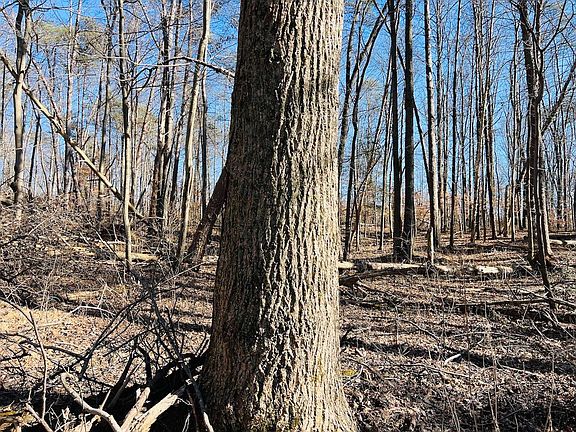 4th image of 1075 Patterson Rd