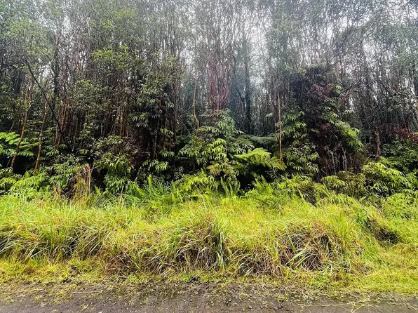 Road 3, Mountain View, HI 96771