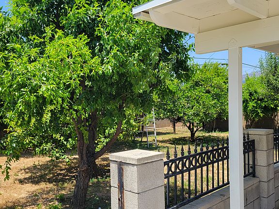 Garden with fruit trees