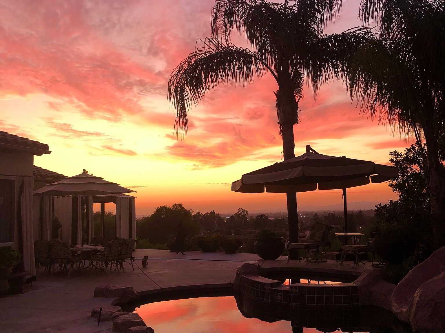 6195 E Henning View Ter, Anaheim, CA 92807 | Zillow