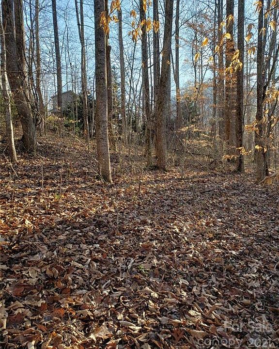 2nd image of 40 Twisted Birch Dr