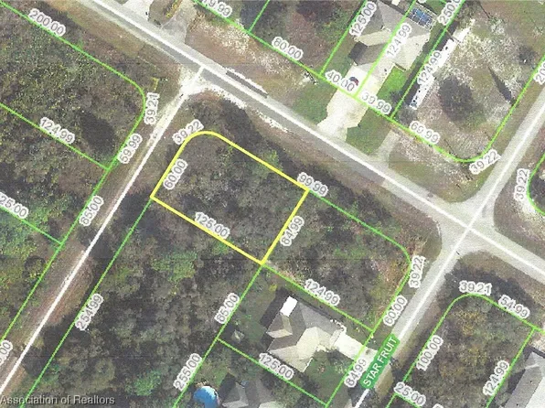 884 Washington Blvd NW, Lake Placid, FL 33852