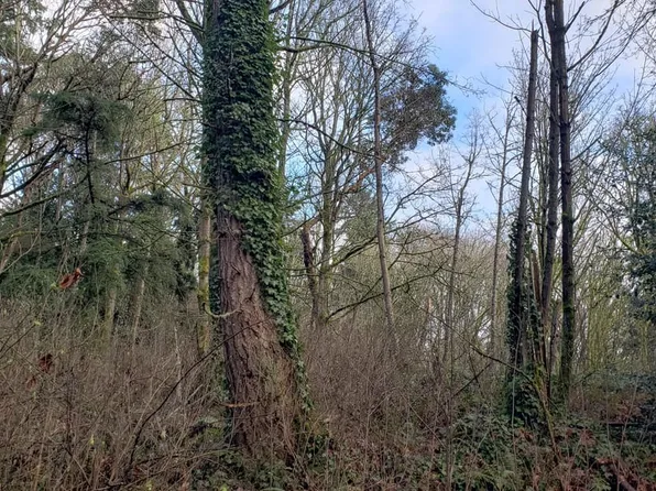 26XX SW 308th St, Federal Way, WA 98023