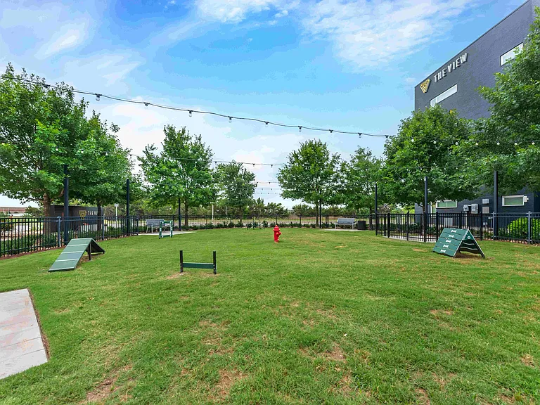 Dog Park