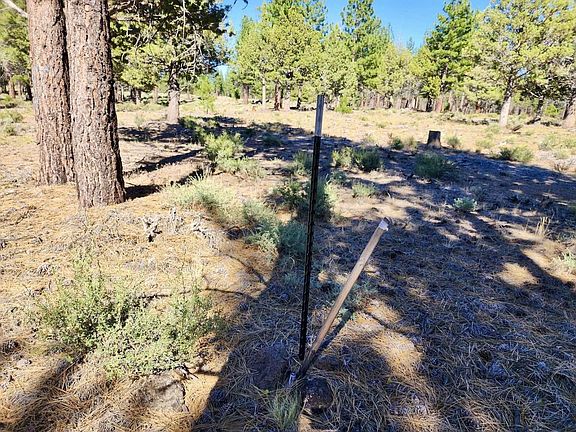 4th image of 26400 Butte Creek Rd