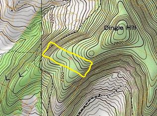 Davis Hollow Rd, Andes, NY 13731