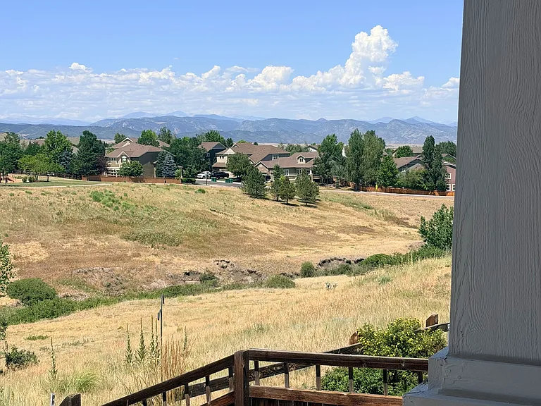 BACK YARD VIEWS