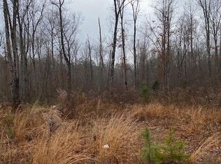 5 Colony Rd, Coalmont, TN 37313