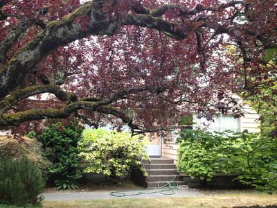 1909 NE Northgate Way, Seattle, WA, 98125