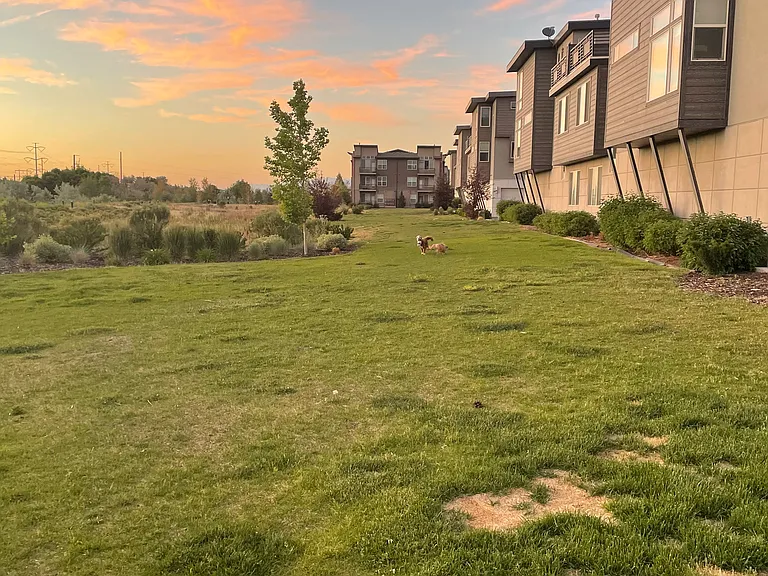 1055 W Rooftop Dr — Photo 19