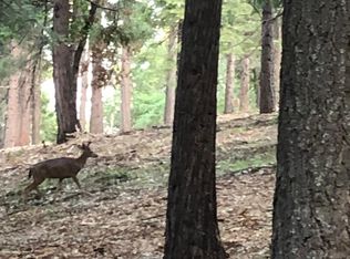 5040 Agate Ct, Pollock Pines, CA 95726