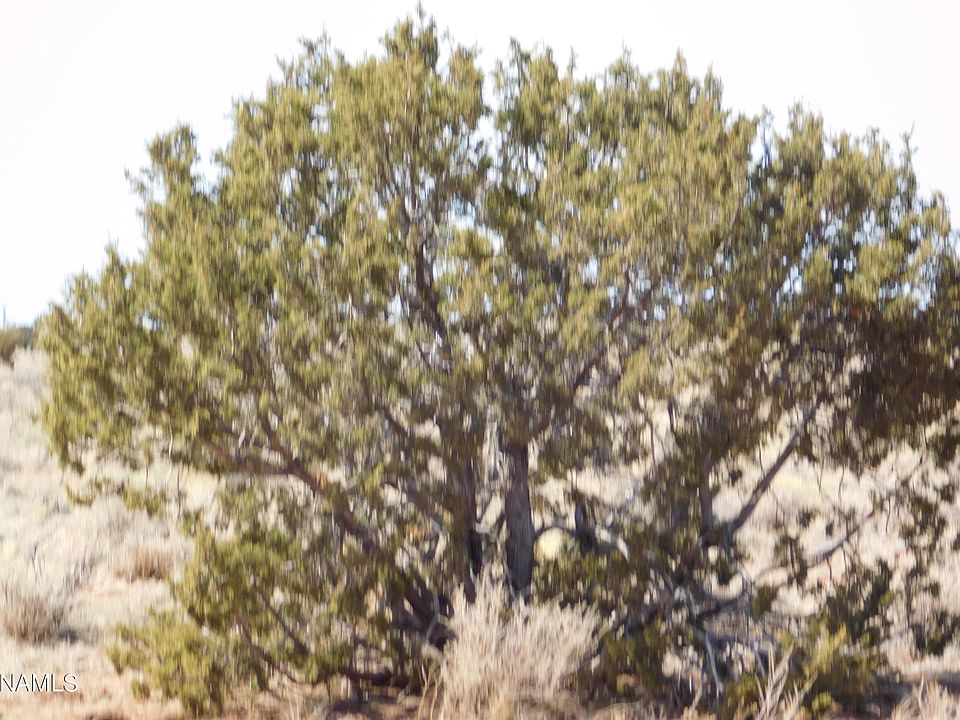 1st image of 3165 Us Highway 180 #8