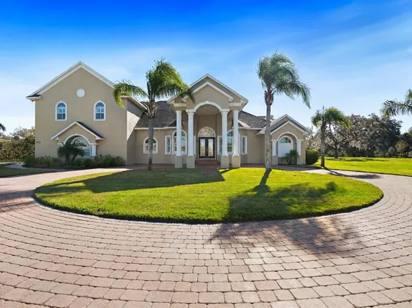 11518 Hammock Oaks Ct, Lithia, FL 33547