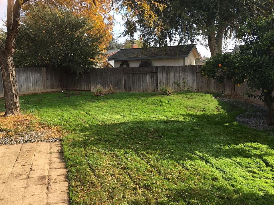 Big Backyard with fresh orange trees.