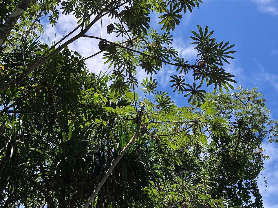 1st image of Puni Lani Loop S Lot 1725
