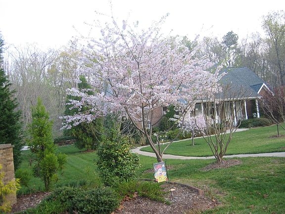 The home in Spring 2007.