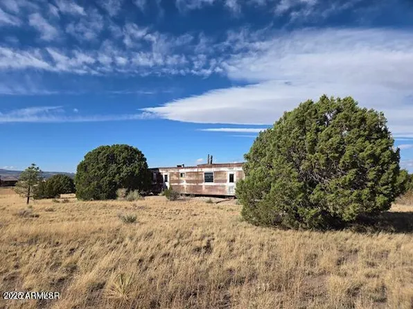 41 COUNTY ROAD N2004 -- #114, Nutrioso, AZ 85932