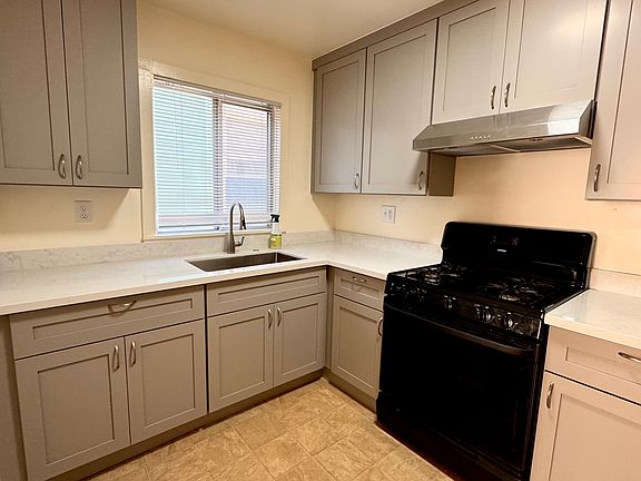 Brand new cabinets, sink and range hood