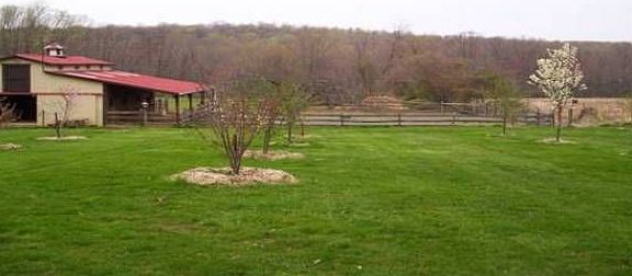 Horse Stalls