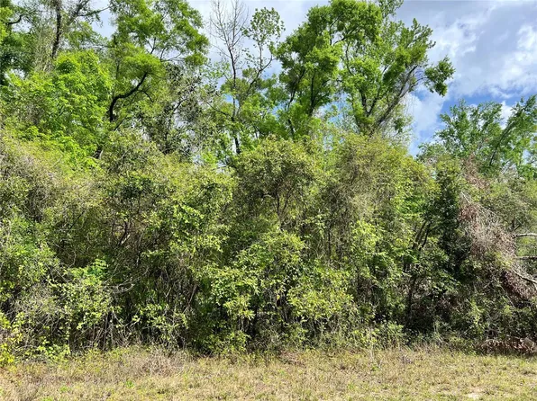 0 NE 349, OLD TOWN, FL 32680