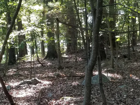 7 Raeder Ave, Mountain Top, PA 18707