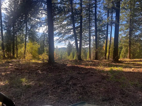 Horseshoe Lake Rd, Deer Park, WA 99006