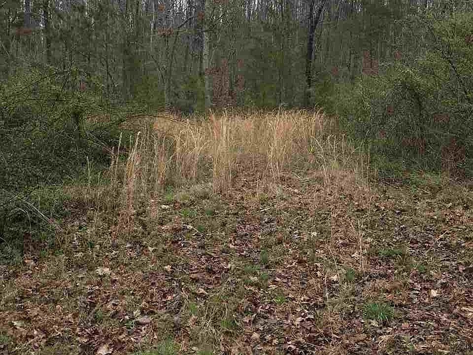 2nd image of 4360 County Road 56