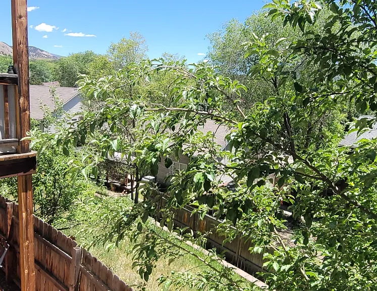 Looking northeast on balcony
