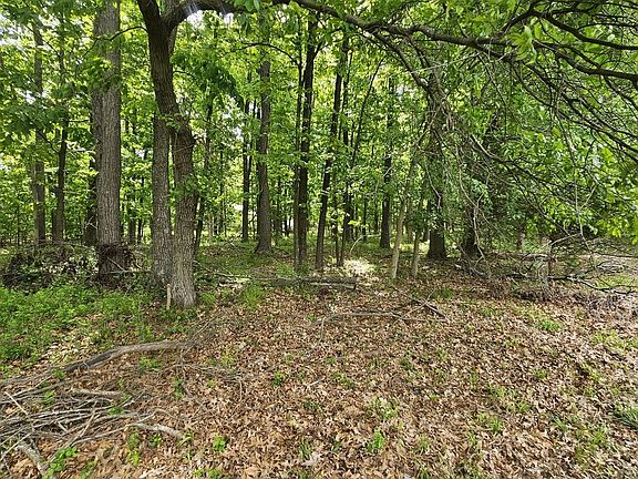 3rd image of 4143 Richview Rd