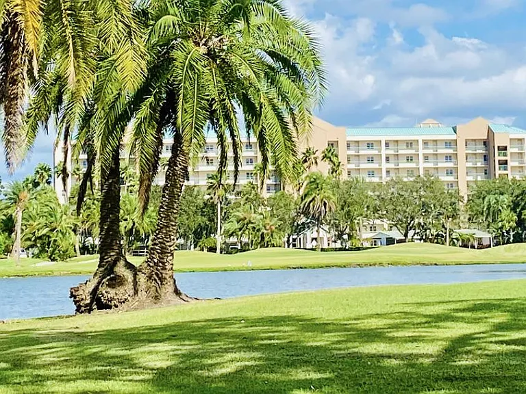 2320 Terra Ceia Bay Blvd #211 — Photo 16