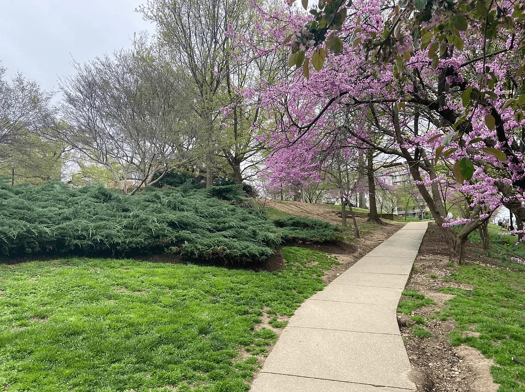 The Barlow at Kalorama Park — Photo 2
