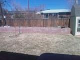 Back Yard Left Side