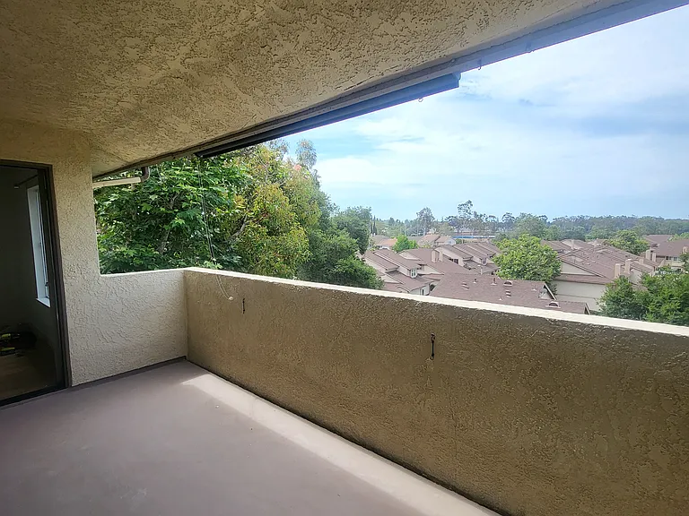 25244 Birch Grove Ln — Photo 5