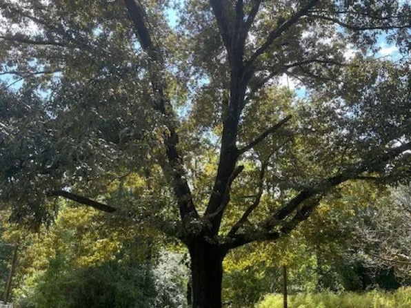 2227 Harris And Wright Dr, Birmingham, AL 35242