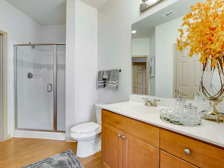 Summerfield At Morgan Metro Apartments — Photo 20