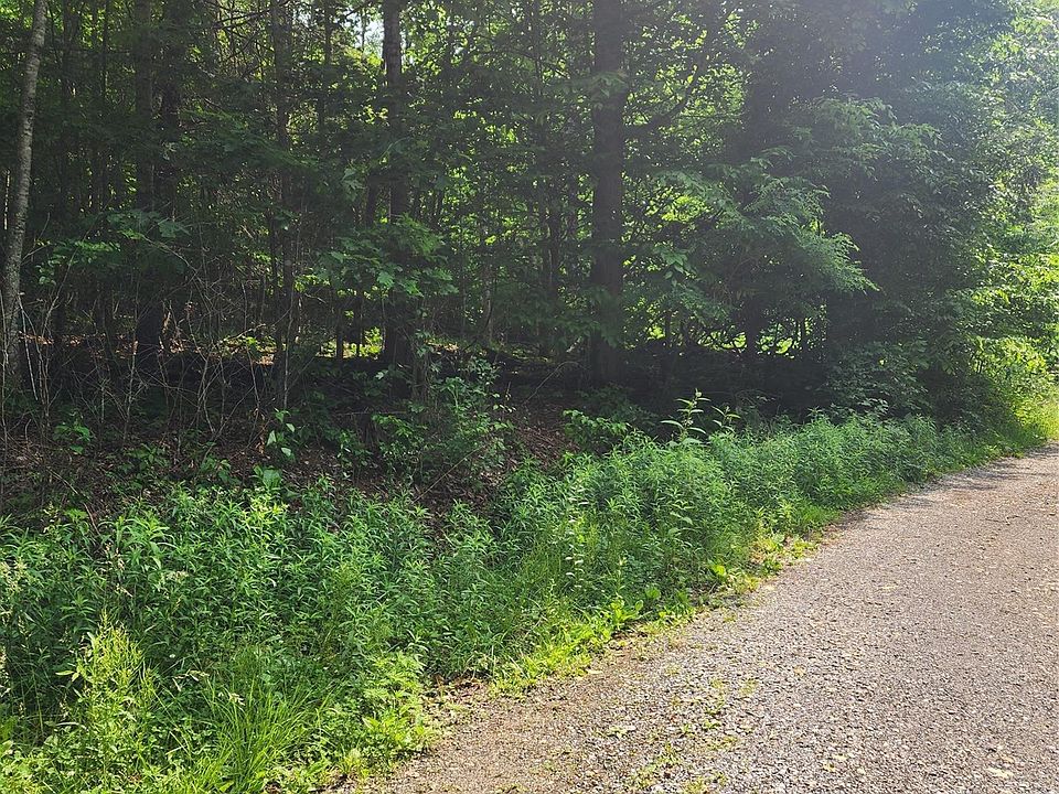 2nd image of 0 Poplar Creek Rd