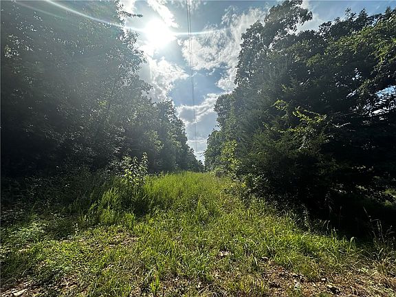 2nd image of Marion County 4019
