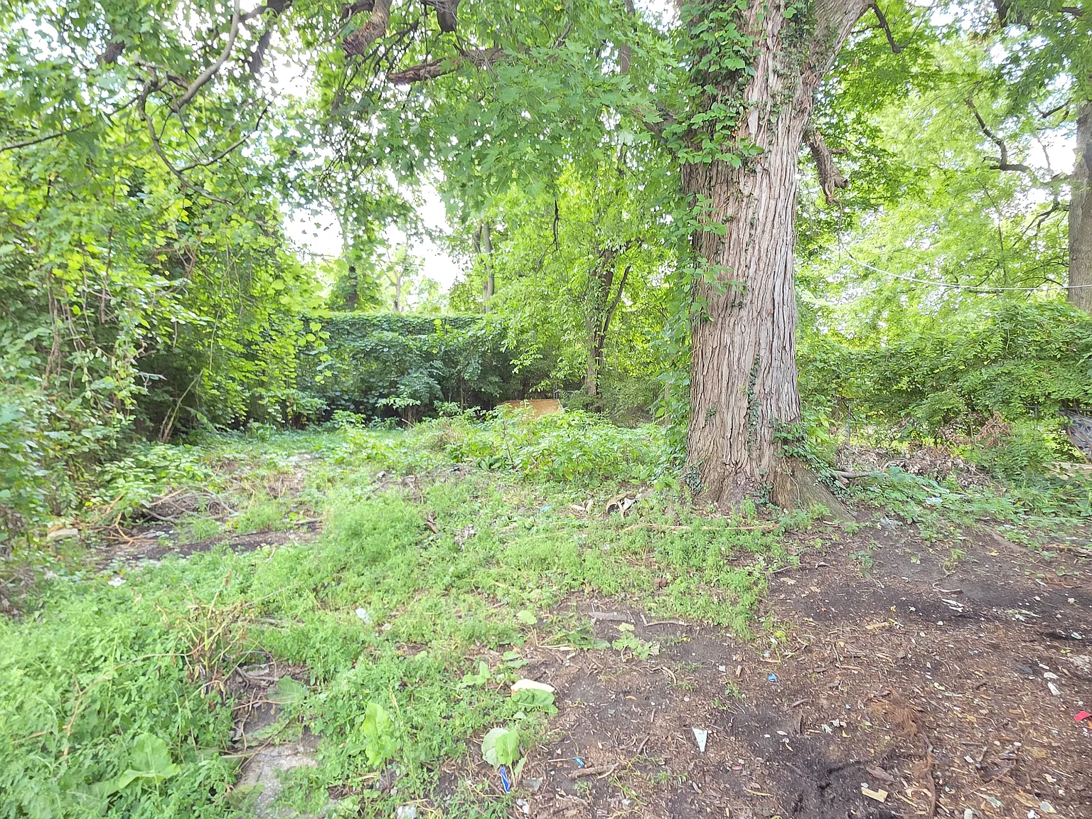 4 bed, 1152 sqft, $1,450 — Photo 3