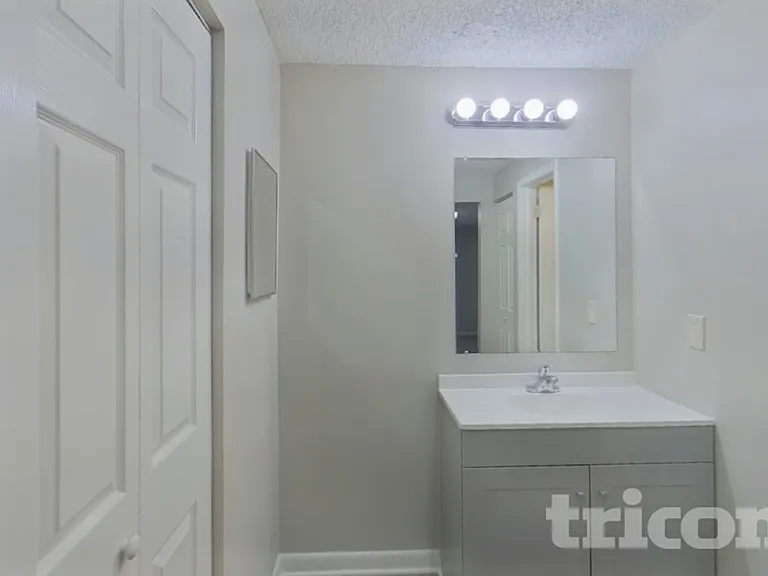 6656 Alisma Ln — Photo 11