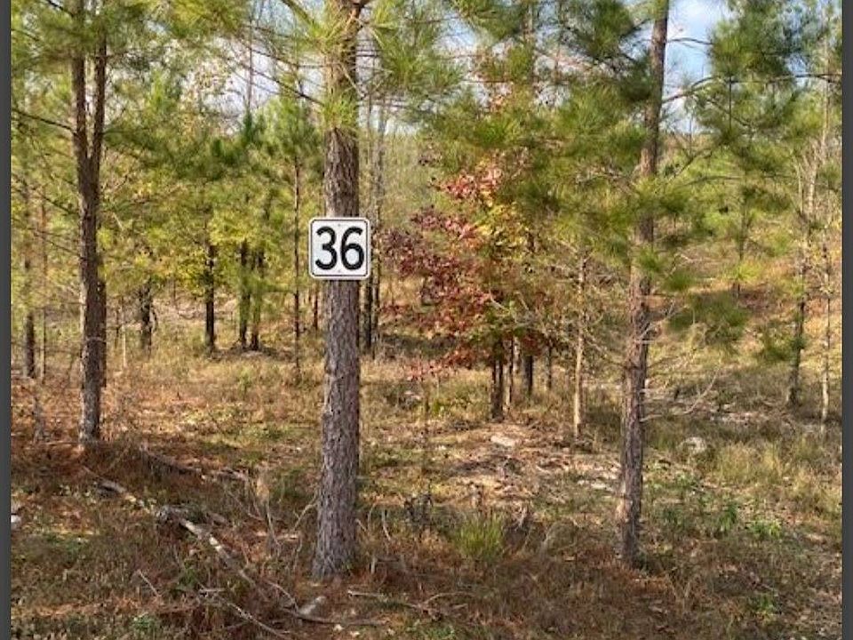 1st image of 36 Hidden Pines Loop