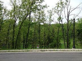 3rd image of 114 Troon Cir