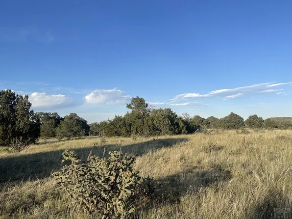 L6-B7 Rocky Mountain Dr, Walsenburg, CO 81089