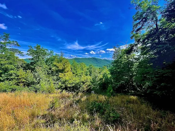 4602 Kelsey, Hiwassee, VA 24347