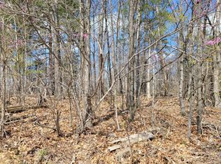Highway 321, Parrottsville, TN 37843