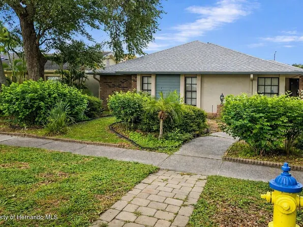 8008 La Serena Dr, Tampa, FL 33614