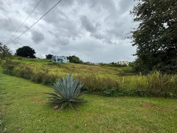 (undisclosed Address), Caguas, PR 00727