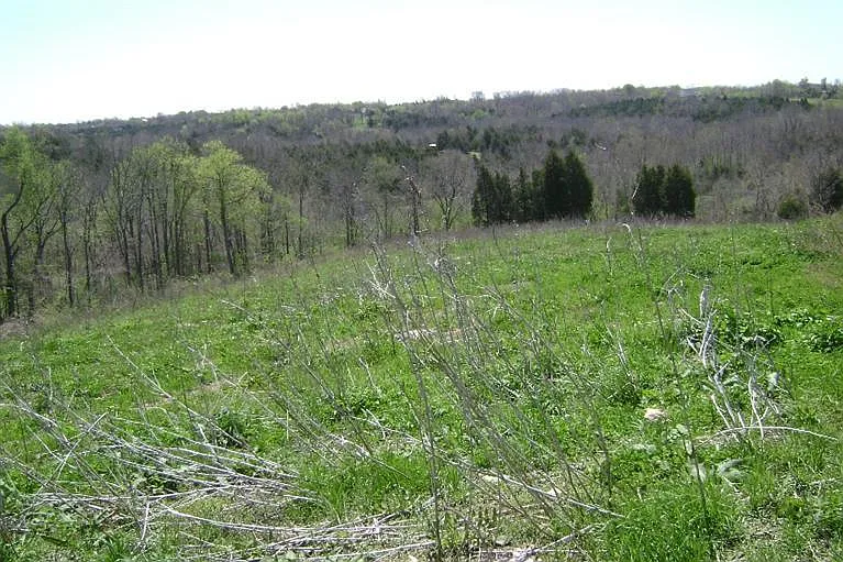 426 Central Pike photo 1
