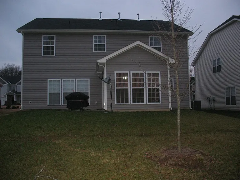 Back yard view
