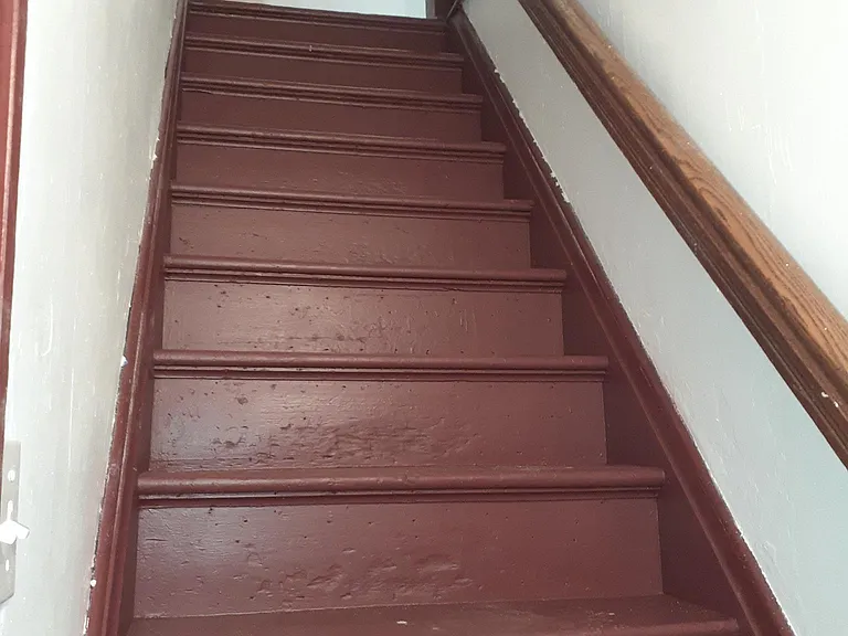 14 Edith Pl — Photo 3