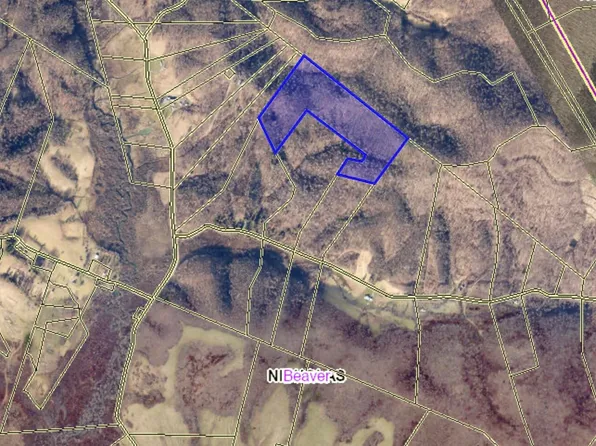 325 Horse Pen Rd, Tioga, WV 26691